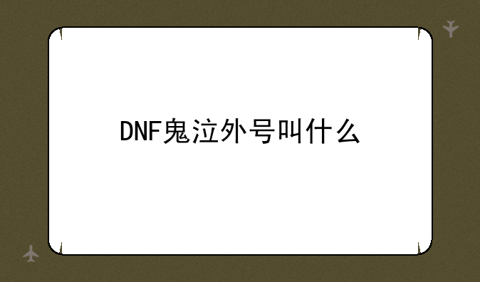 DNF里鬼泣怎么加点最厉害、？;DNF 鬼鬼C
