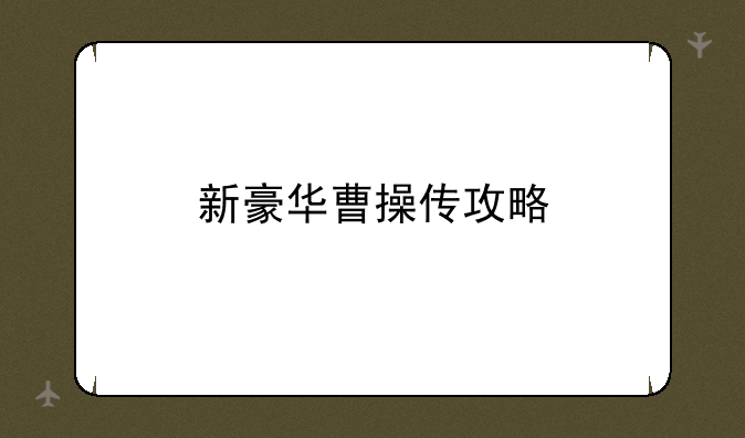 新豪华曹操传攻略