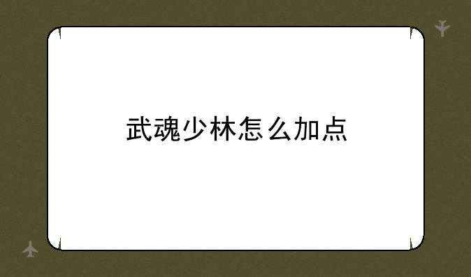 武魂少林怎么加点