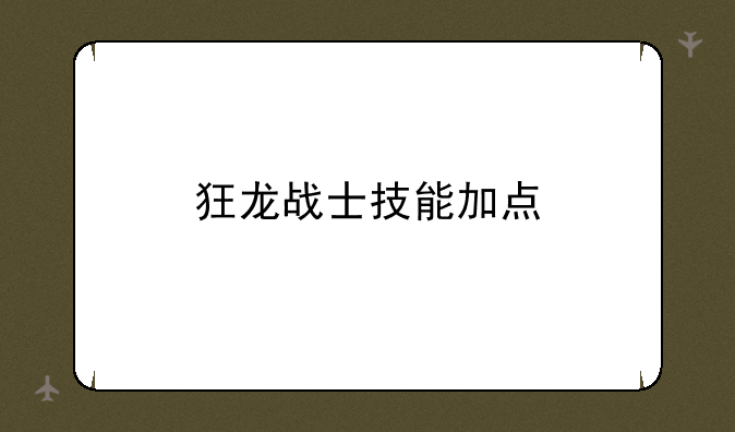 狂龙战士技能加点