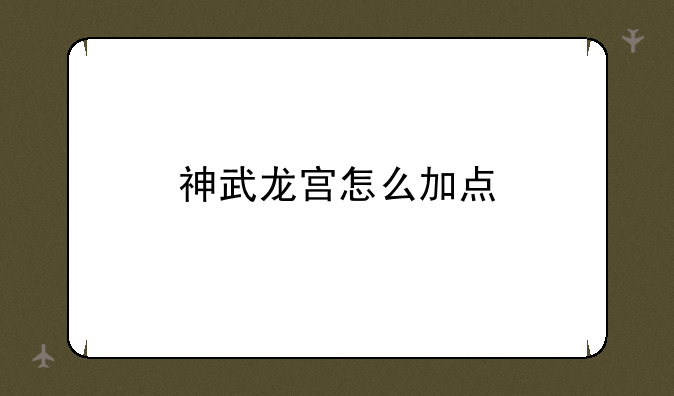 神武龙宫怎么加点
