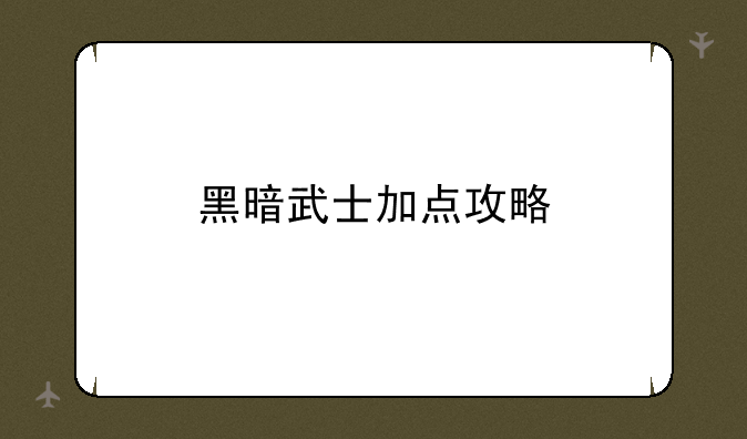 黑暗武士加点攻略