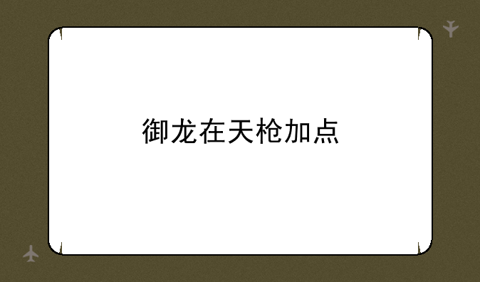 御龙在天枪加点