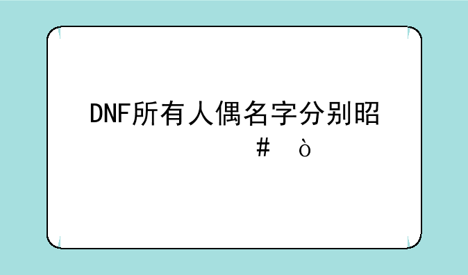 DNF所有人偶名字分别是什么？