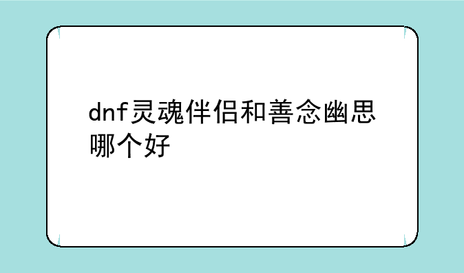 dnf灵魂伴侣和善念幽思哪个好
