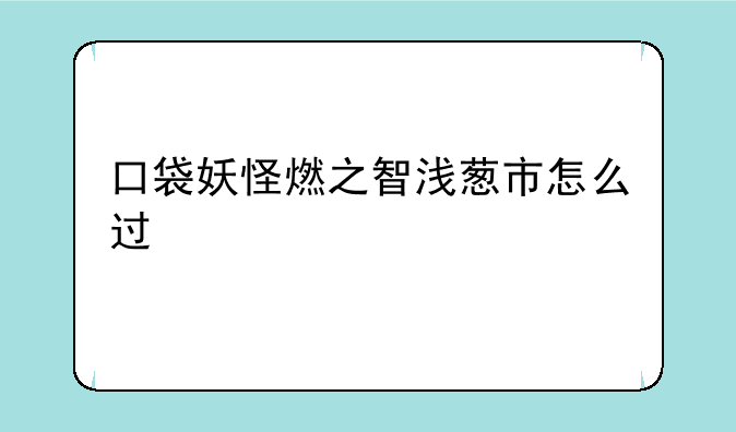 口袋妖怪燃之智浅葱市怎么过