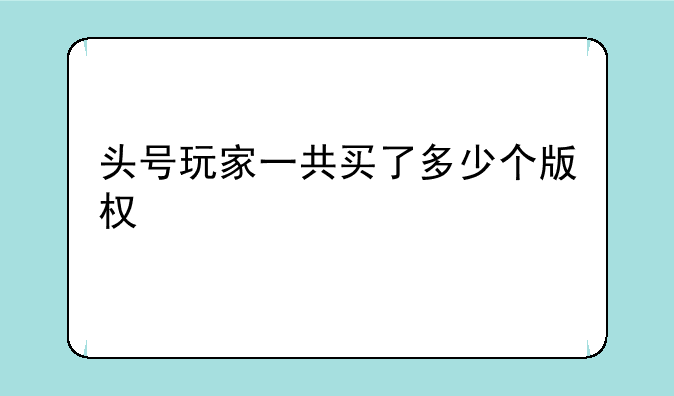 头号玩家一共买了多少个版权