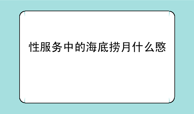 性服务中的海底捞月什么意思