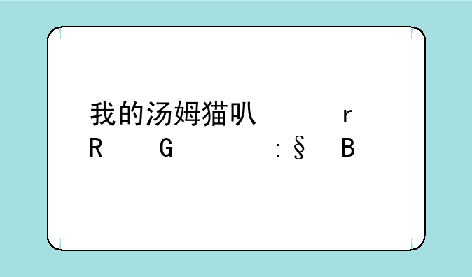 我的汤姆猫可以在电脑上玩吗