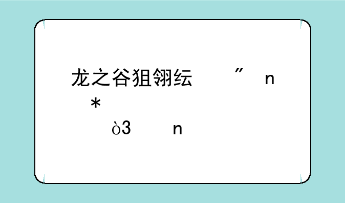 龙之谷狙翎纯刷图加点，带图