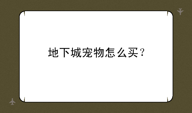 地下城宠物怎么买？