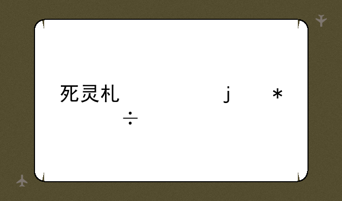 死灵术士的技能简介