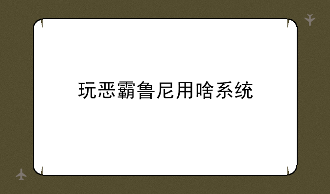玩恶霸鲁尼用啥系统