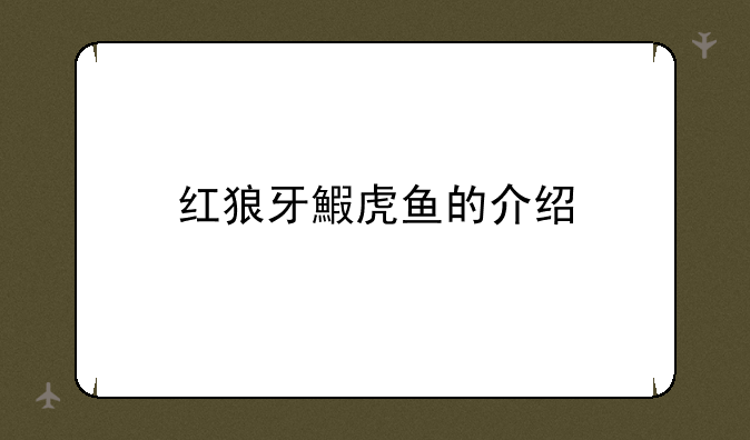 红狼牙鰕虎鱼的介绍
