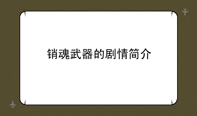 销魂武器的剧情简介