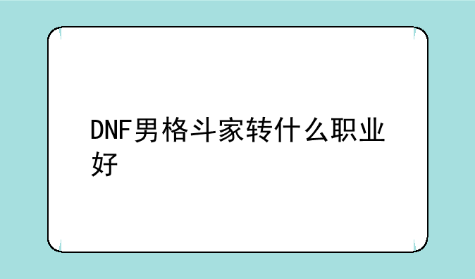 DNF男格斗转什么职业好？--dnf男格斗家转什么职业刷图好