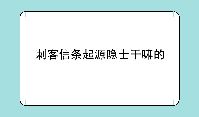刺客信条起源隐士干嘛的