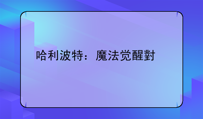 <b>哈利波特：魔法觉醒小米版</b>