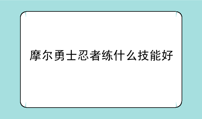摩尔勇士忍者的装备怎么弄:摩尔勇士如何让忍者的瞬杀提高几率