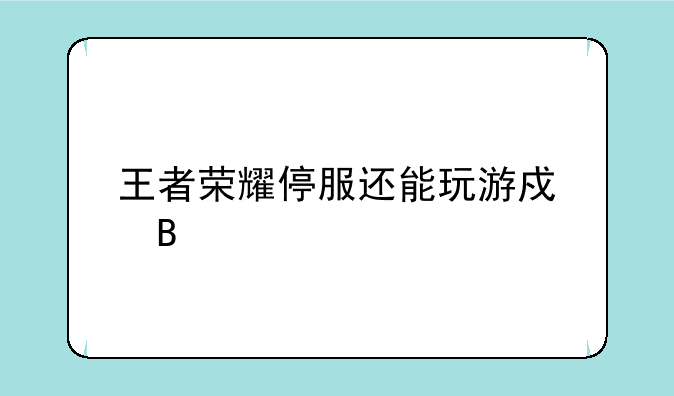 王者荣耀停服还能玩游戏吗