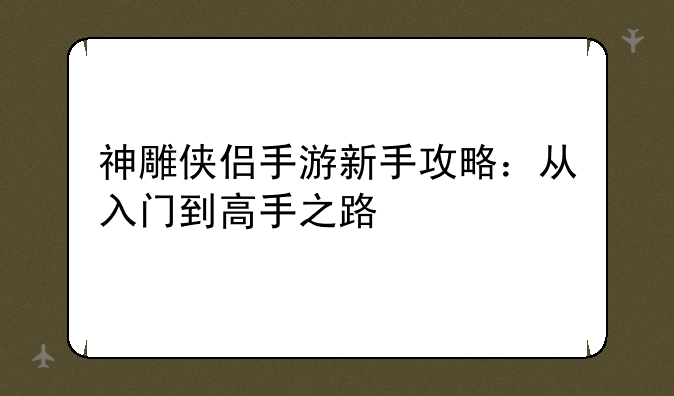 神雕侠侣手游新手攻略：从入门到高手之路