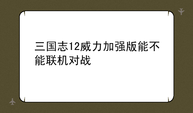三国志12威力加强版能不能联机对战