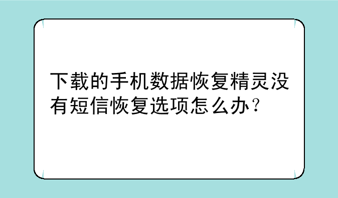 下载的手机数据恢复精灵没有短信恢复选项怎么办？