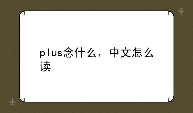 plus念什么，中文怎么读