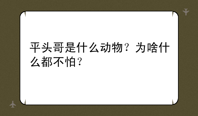 平头哥是什么动物？为啥什么都不怕？