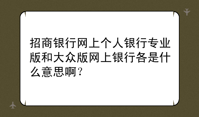 招商银行网上个人银行专业版和大众版网上银行各是什么意思啊？