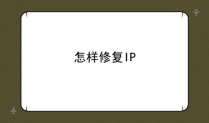 怎样修复IP